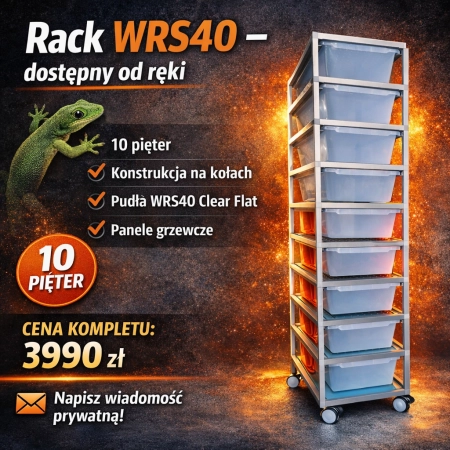 Rack WRS40 Classic – dostępny od ręki